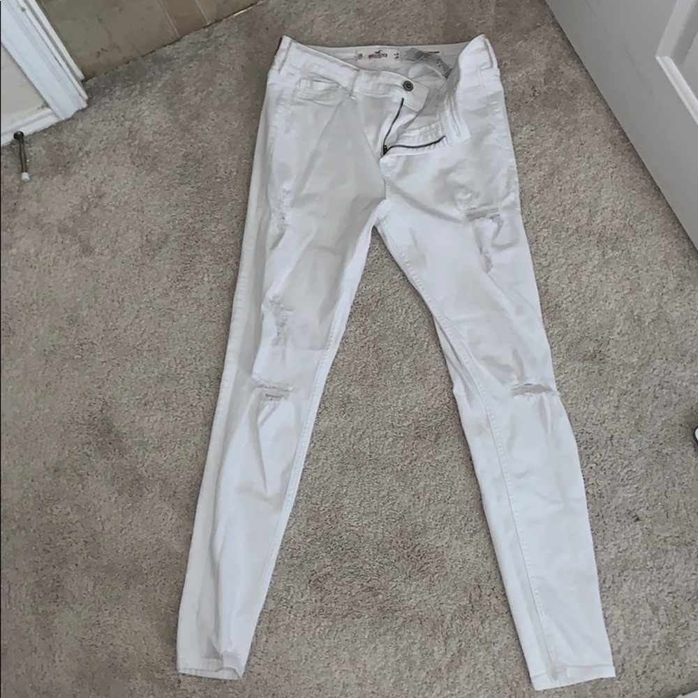 holistic pants
